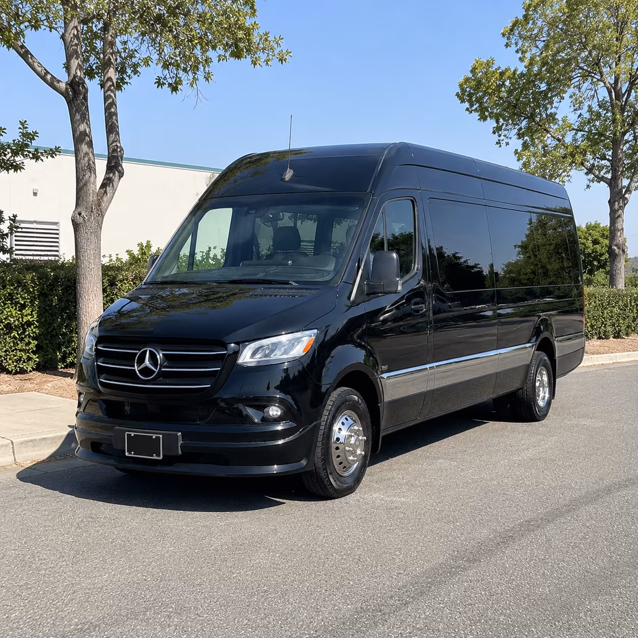 Kansas City Birthday, Sweet 16, & Quinceañera Transportation party bus exterior