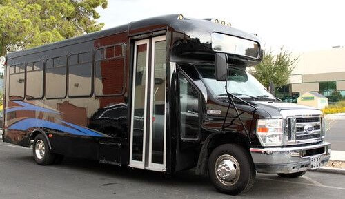 18 Passenger Party Bus